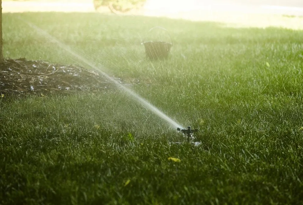Local landscape installation for homes across Randleman, NC - Tiger Cut Lawns