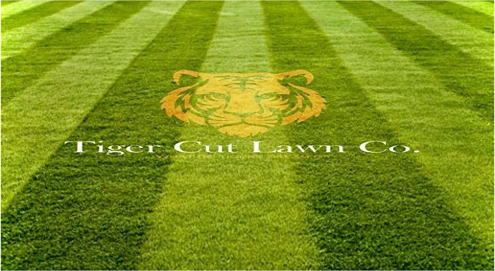 Reliable landscape design experts serving Randleman, NC - Tiger Cut Lawns