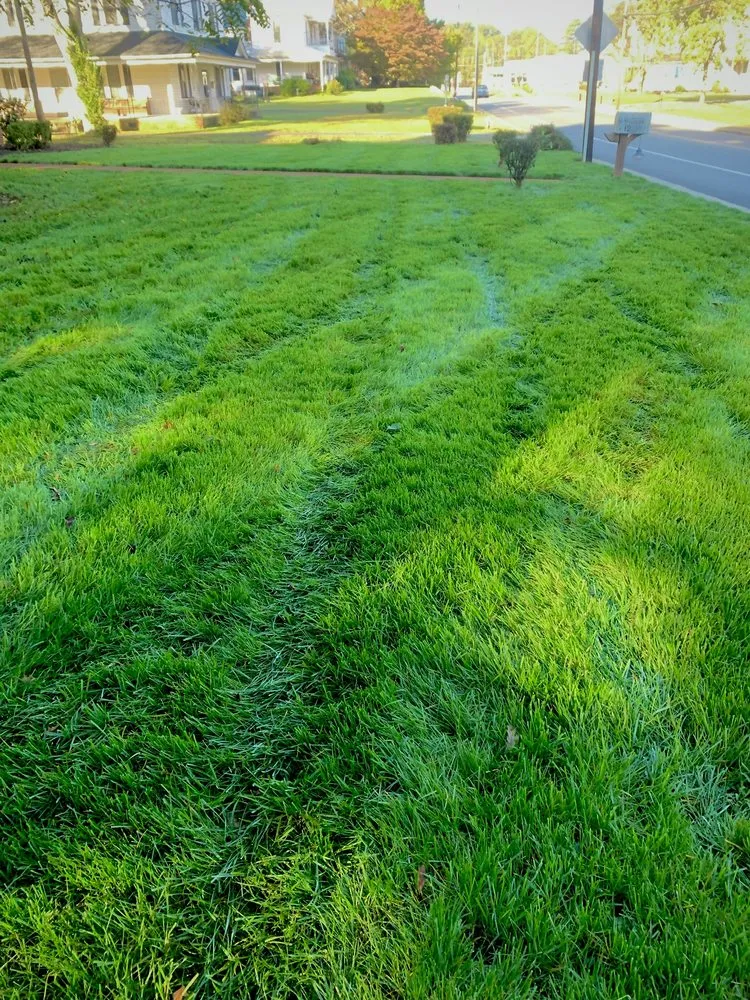 Top-rated lawn mowing service experts serving Randleman, NC - Tiger Cut Lawns