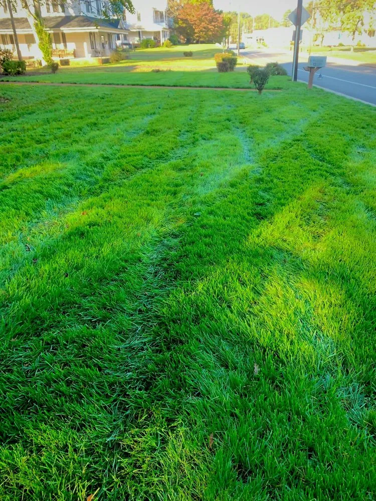 Custom residential landscaping in Randleman, NC by Tiger Cut Lawns