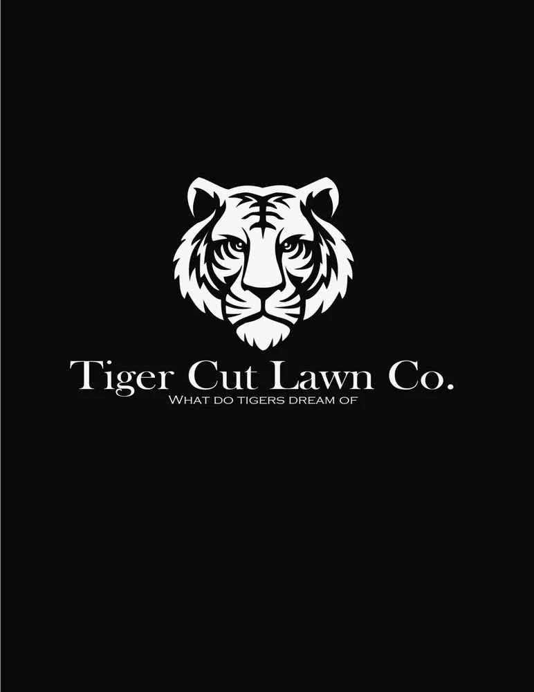 Expert yard cleanup service in Randleman, NC by Tiger Cut Lawns