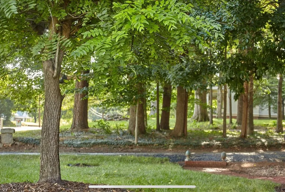 Custom landscape installation in Randleman, NC - Tiger Cut Lawns