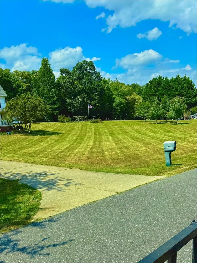 Expert landscaping services experts serving Randleman, NC - Tiger Cut Lawns