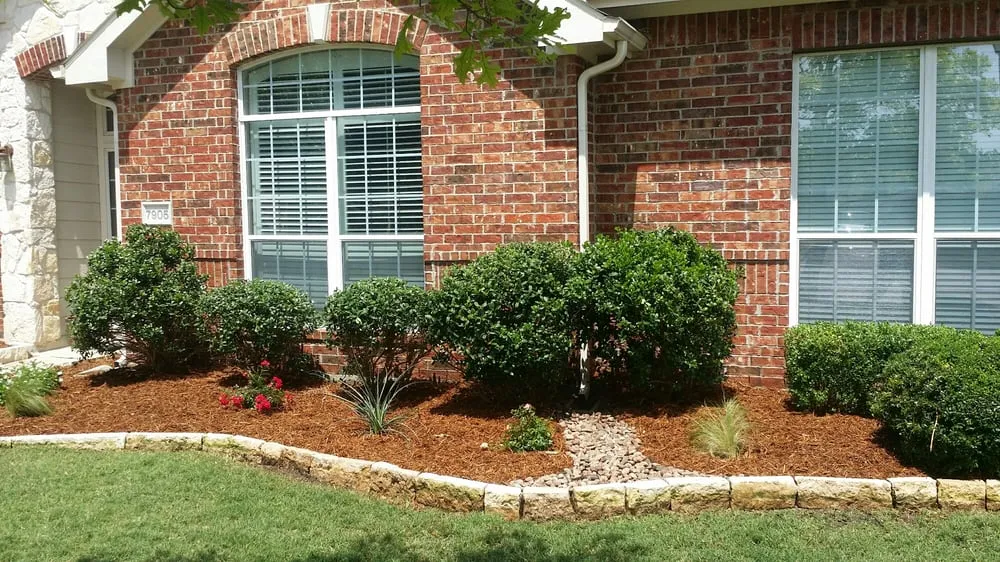 Local yard cleanup service with custom design in Terrell, TX by Tiger Cut Professional Lawn Care