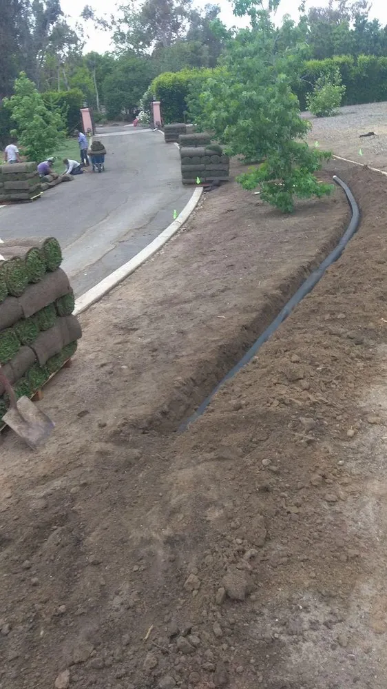 Expert landscape installation in Escondido, CA - Tiger Landscaping & Tree Services