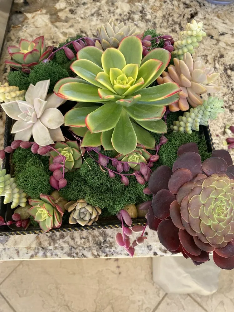 Top-rated lawn mowing service in Escondido, CA - Tiger Landscaping & Tree Services