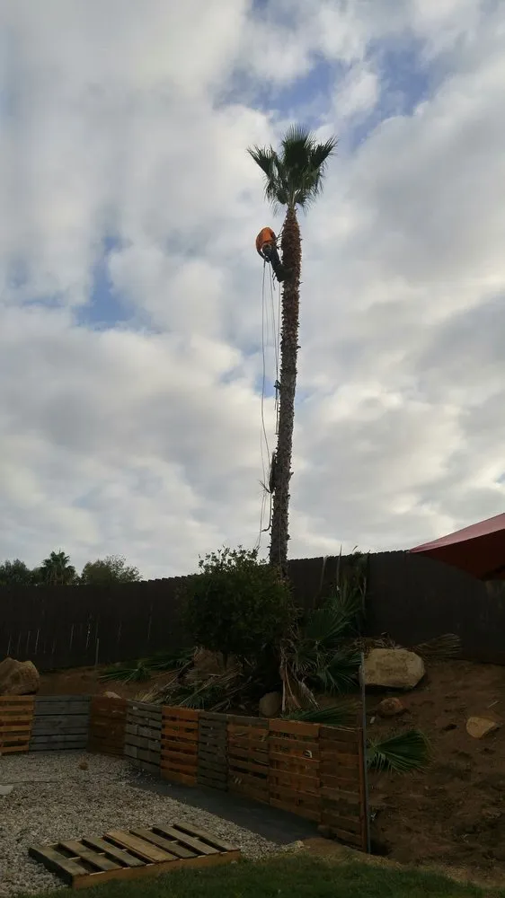 Reliable lawn mowing service experts serving Escondido, CA - Tiger Landscaping & Tree Services