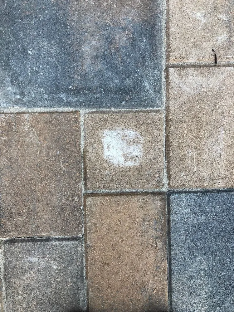 Local landscape installation for residential properties in Escondido, CA by Tiger Landscaping & Tree Services