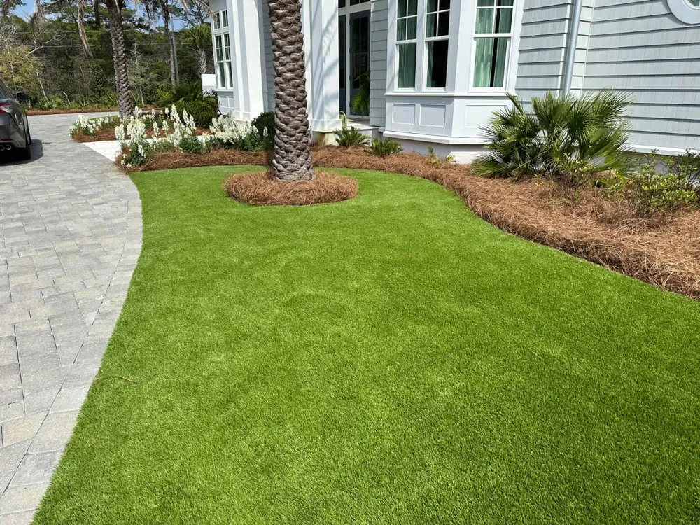 Top-rated yard cleanup service in East Point, GA - Tiger Landscaping