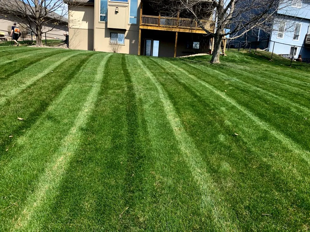 Reliable yard cleanup service near you in Papillion, NE by Tiger Stripe Lawn Care
