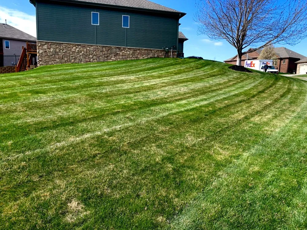 Reliable yard cleanup service in Papillion, NE - Tiger Stripe Lawn Care