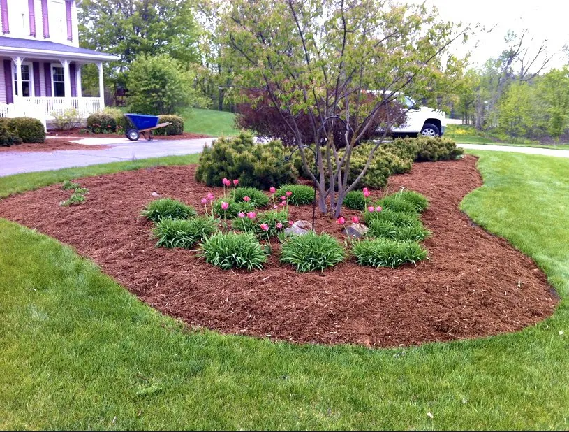 Custom yard cleanup service in Papillion, NE - Tiger Stripe Lawn Care