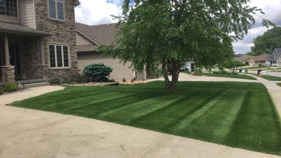 Reliable yard cleanup service for beautiful yards across Papillion, NE - Tiger Stripe Lawn Care