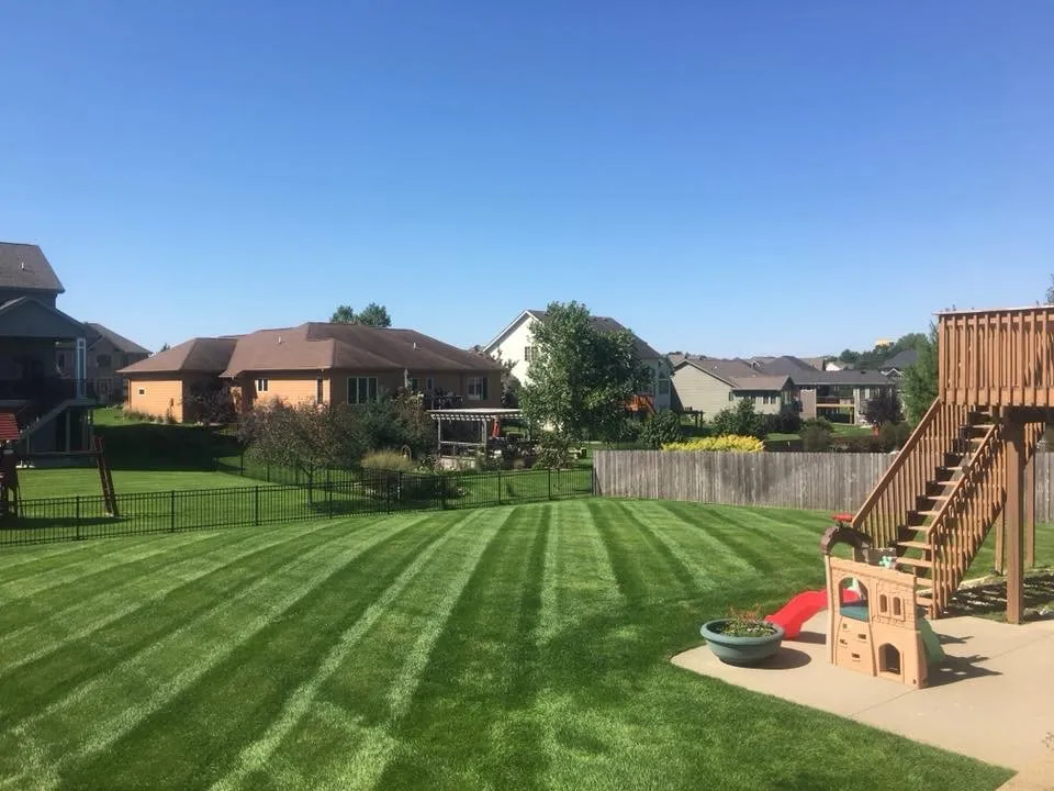 Top-rated residential landscaping experts serving Papillion, NE - Tiger Stripe Lawn Care