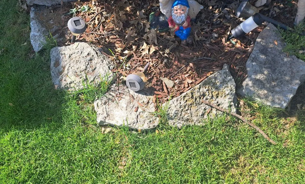 Affordable lawn mowing service experts serving Papillion, NE - Tiger Stripe Lawn Care