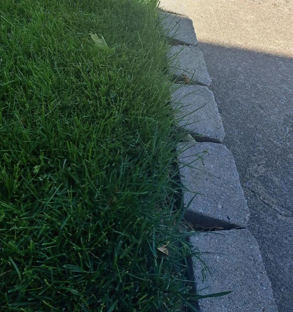 Professional lawn care service for homes in Papillion, NE by Tiger Stripe Lawn Care