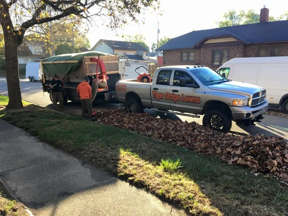 Expert lawn care service in Terre Haute, IN by Tiger Stripe Lawns