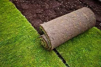 Expert residential landscaping in Greer, SC - Tiger Stripes Lawn Maintenance