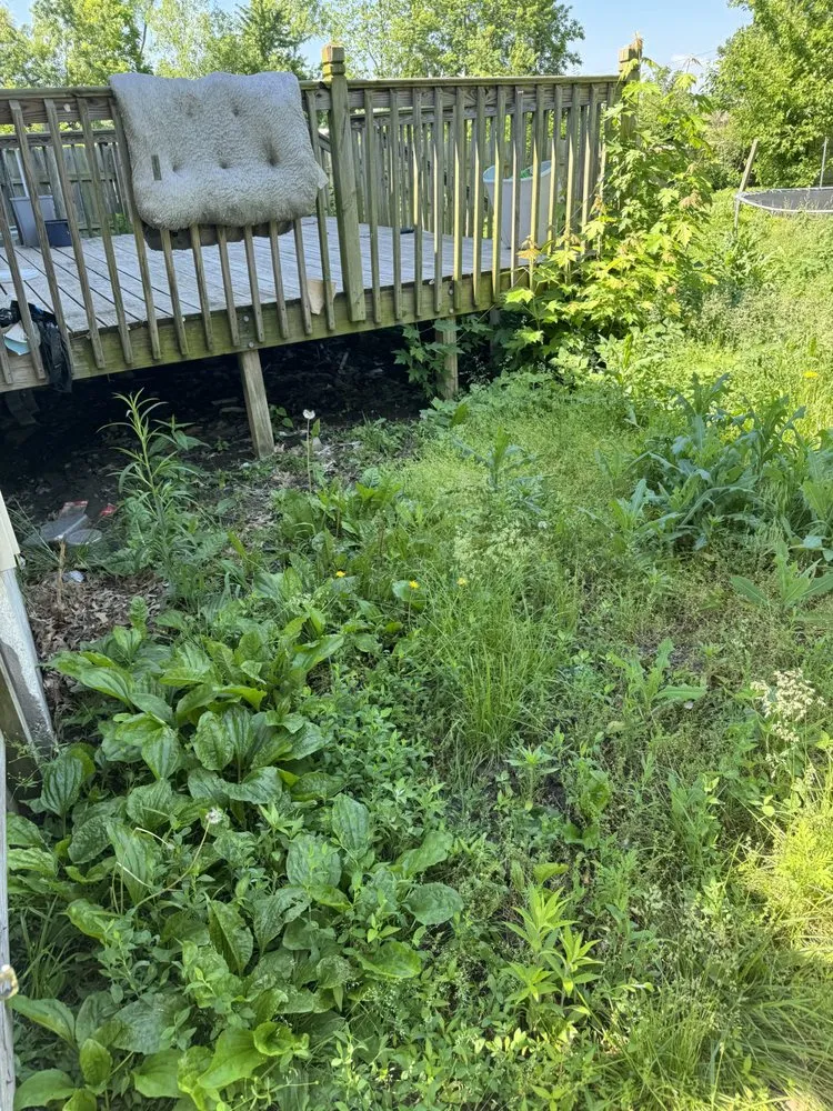 Trusted outdoor landscaping in Columbia, MO by Tiger turf Lawn Care