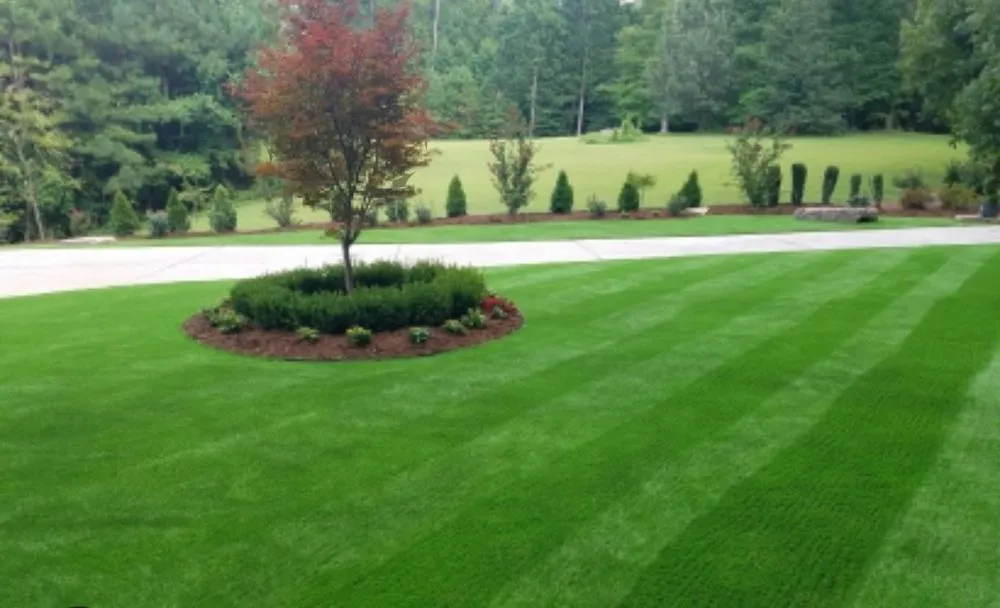 Reliable landscape installation in Columbia, MO - Tiger turf Lawn Care