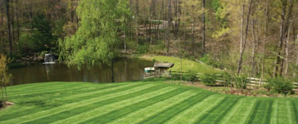 Local yard cleanup service in Columbia, MO - Tiger turf Lawn Care