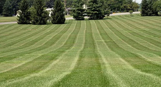 Professional residential landscaping in Columbia, MO by Tiger turf Lawn Care