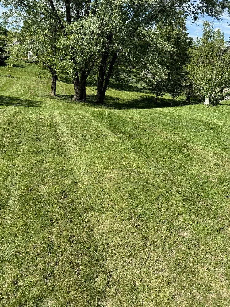 Professional lawn care service experts serving Columbia, MO - Tiger turf Lawn Care
