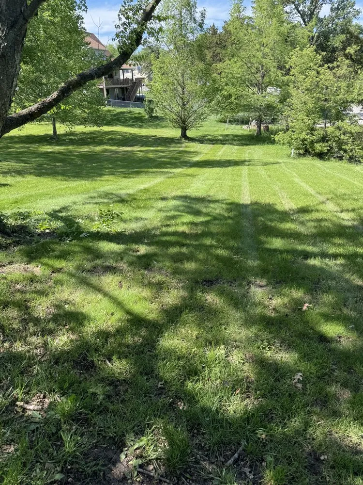 Trusted yard maintenance in Columbia, MO - Tiger turf Lawn Care