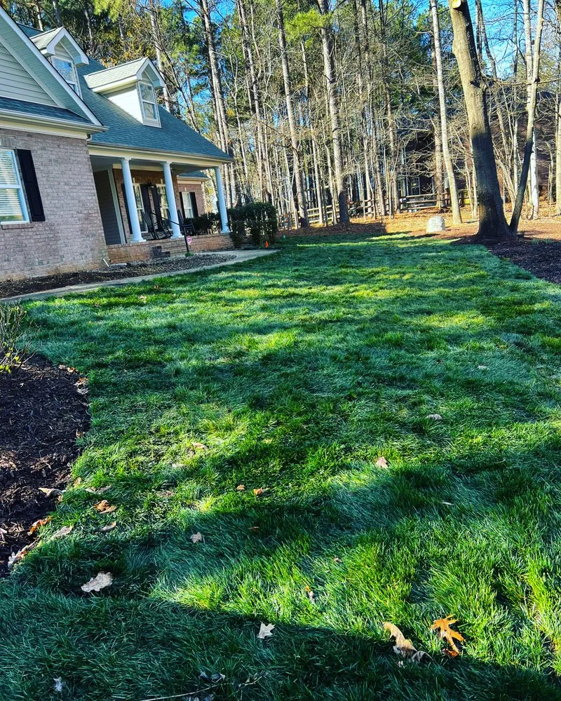 Affordable yard cleanup service for residential properties in Concord, NC by Tiger Walk Landscaping