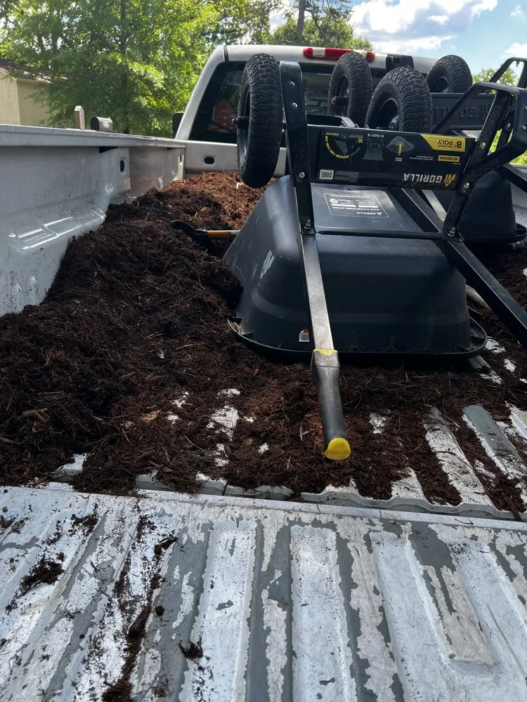 Reliable yard cleanup service for outdoor upgrades across Concord, NC - Tiger Walk Landscaping