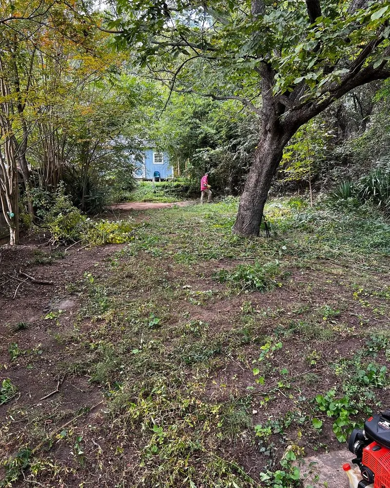 Custom residential landscaping for residential properties in Concord, NC by Tiger Walk Landscaping