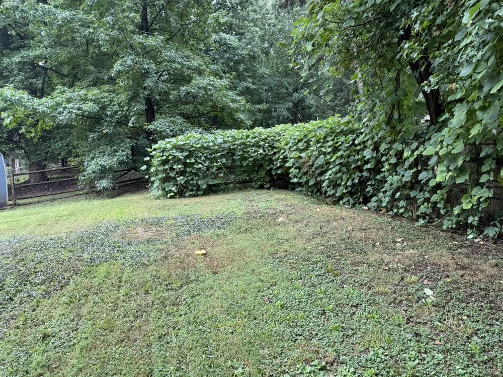 Top-rated landscape installation in Concord, NC by Tiger Walk Landscaping