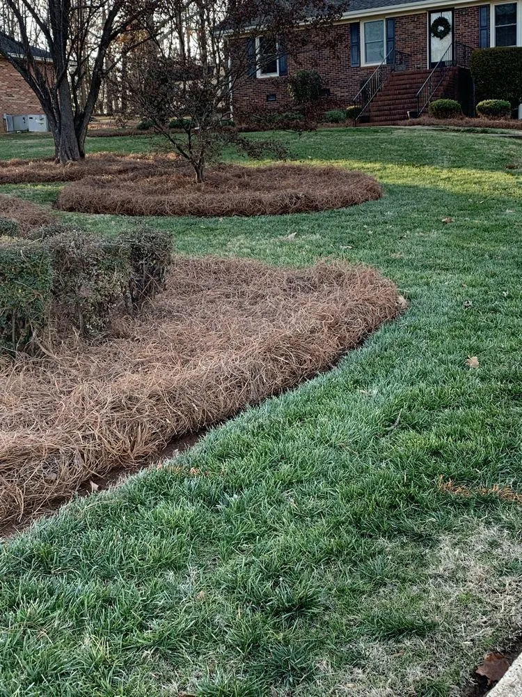 Affordable garden landscaping in Concord, NC - Tiger Walk Landscaping