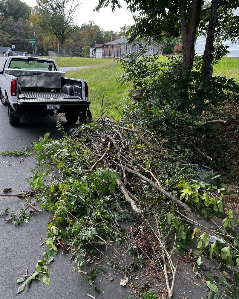 Trusted yard cleanup service for year-round maintenance in Concord, NC by Tiger Walk Landscaping