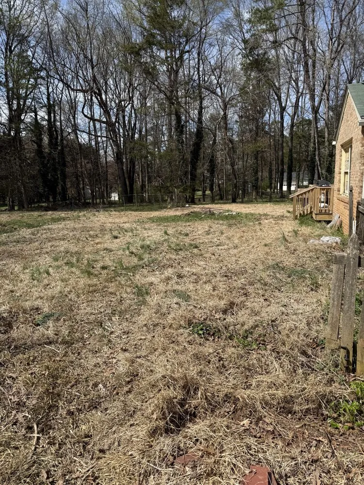 Top-rated outdoor landscaping in Concord, NC - Tiger Walk Landscaping