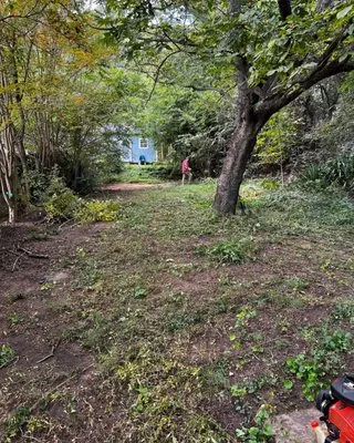 Tiger Walk Landscaping