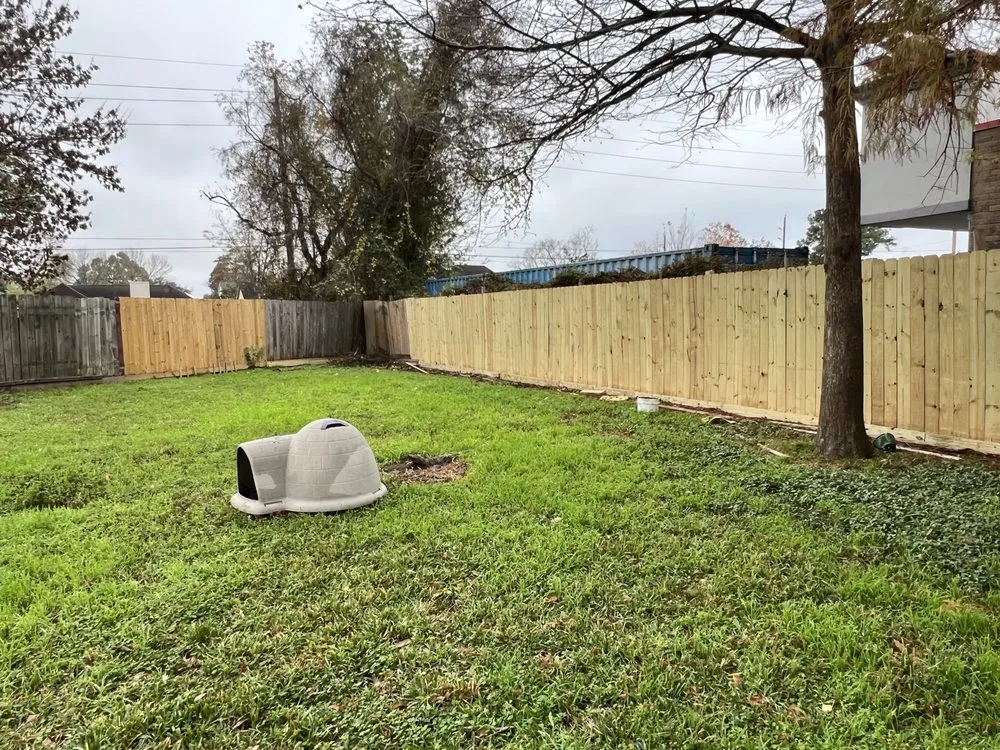 Local lawn care service experts serving Houston, TX - Tiger Xpress Services