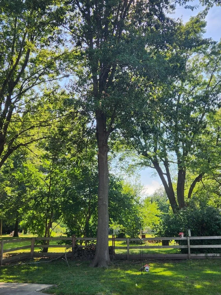 Expert lawn care service with custom design across Wellington, MO - Tigers Contracting
