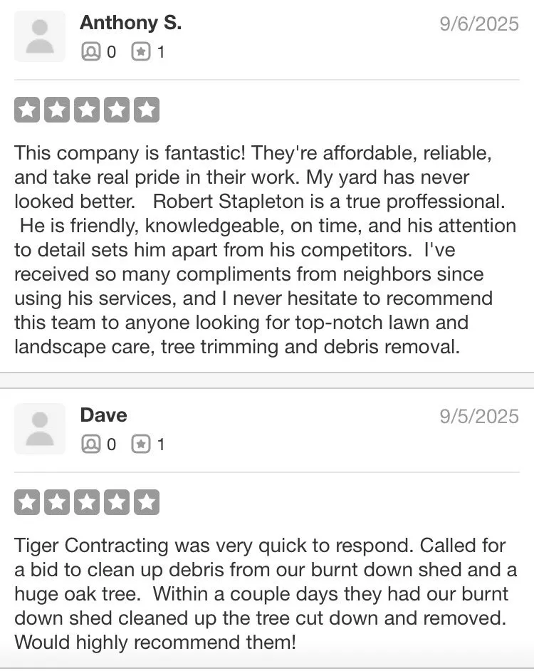 Local yard cleanup service for year-round maintenance in Wellington, MO by Tigers Contracting