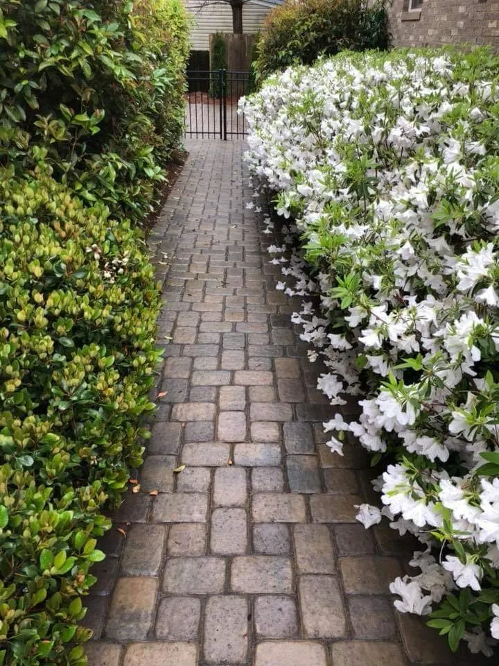 Expert landscape design in Sumter, SC - Tigers Home Service And Construction