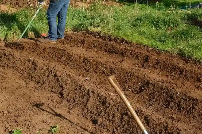 Professional yard cleanup service in Culpeper, VA by Tigers Tree Service and Landscaping