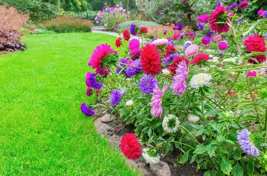 Top-rated lawn care service for homes in Culpeper, VA by Tigers Tree Service and Landscaping