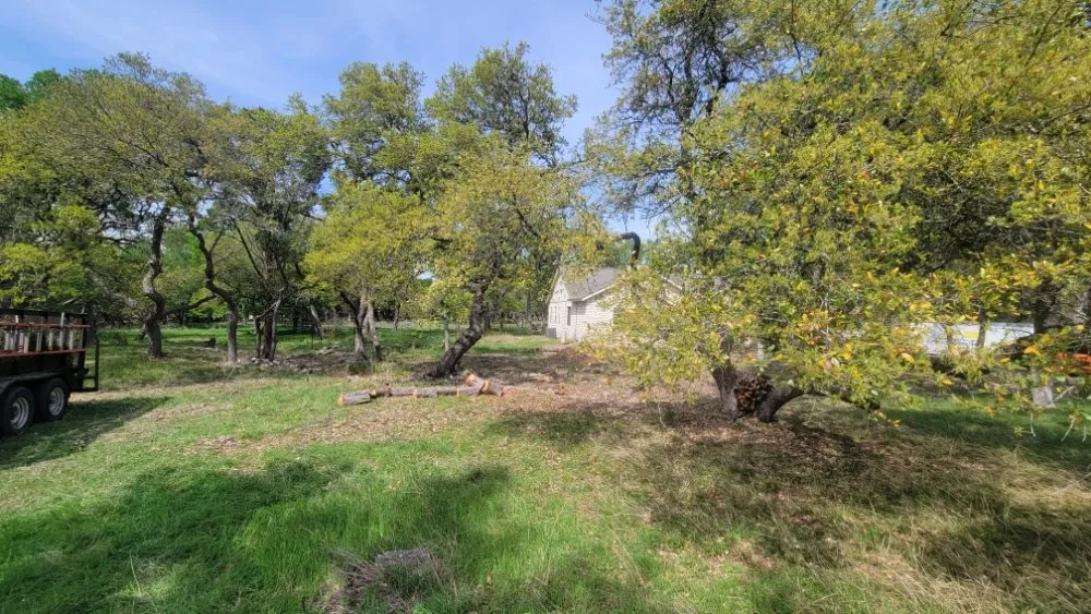 Custom yard cleanup service for beautiful yards across Austin, TX - Tigers Tree Services & Landscaping