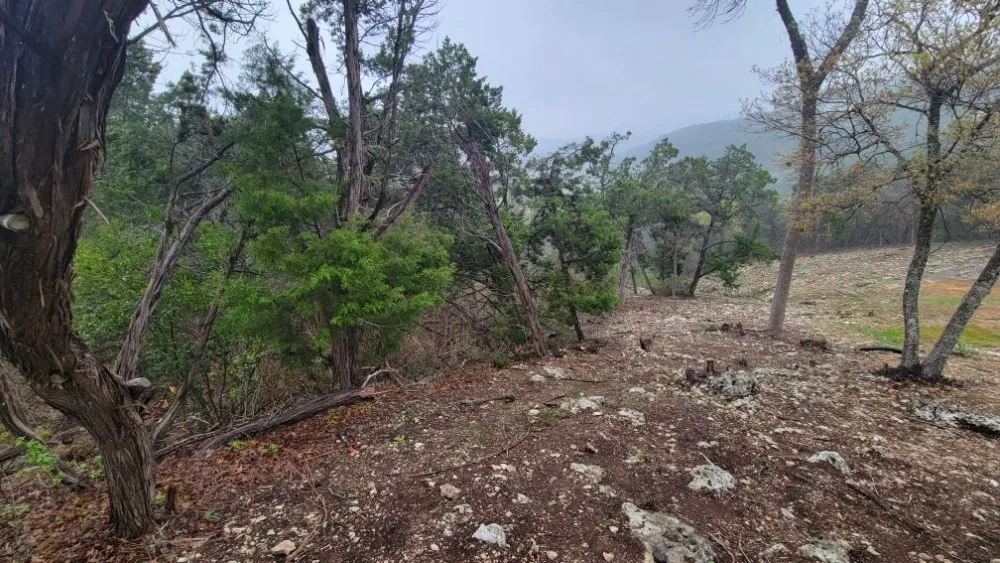 Top-rated outdoor landscaping in Austin, TX by Tigers Tree Services & Landscaping