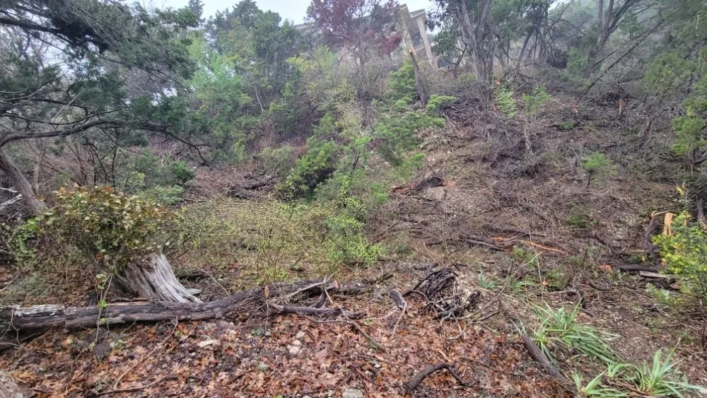 Trusted garden landscaping for outdoor upgrades in Austin, TX by Tigers Tree Services & Landscaping