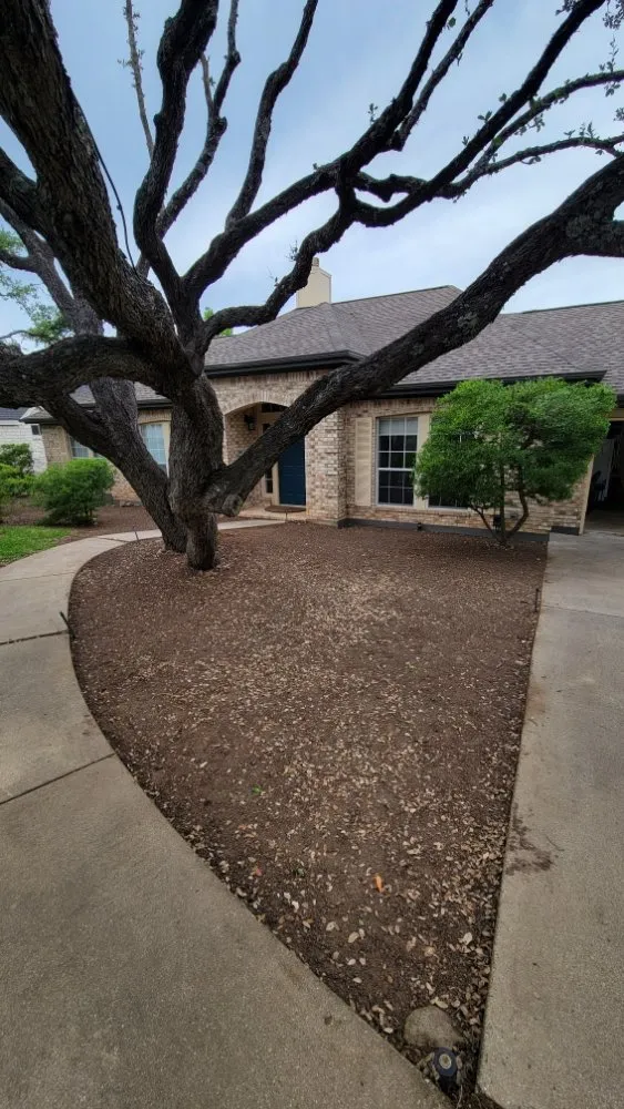 Trusted lawn care service experts serving Austin, TX - Tigers Tree Services & Landscaping