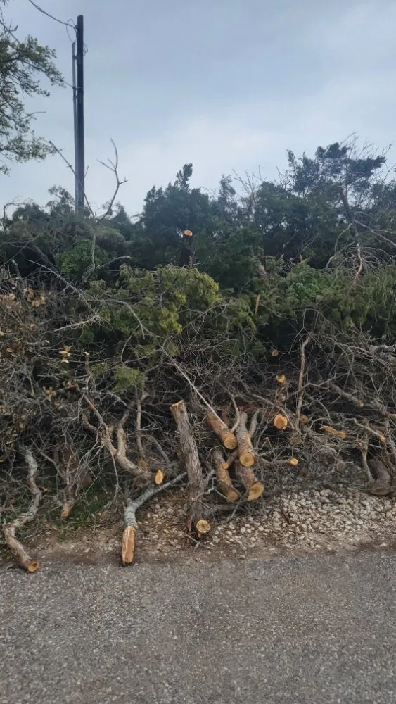 Reliable lawn care service experts serving Austin, TX - Tigers Tree Services & Landscaping