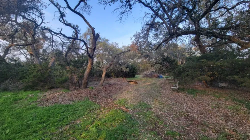 Professional landscape installation in Austin, TX - Tigers Tree Services & Landscaping