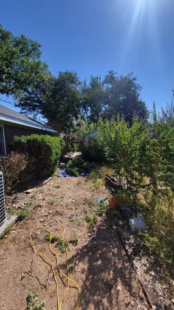 Affordable garden landscaping in Austin, TX - Tigers Tree Services & Landscaping