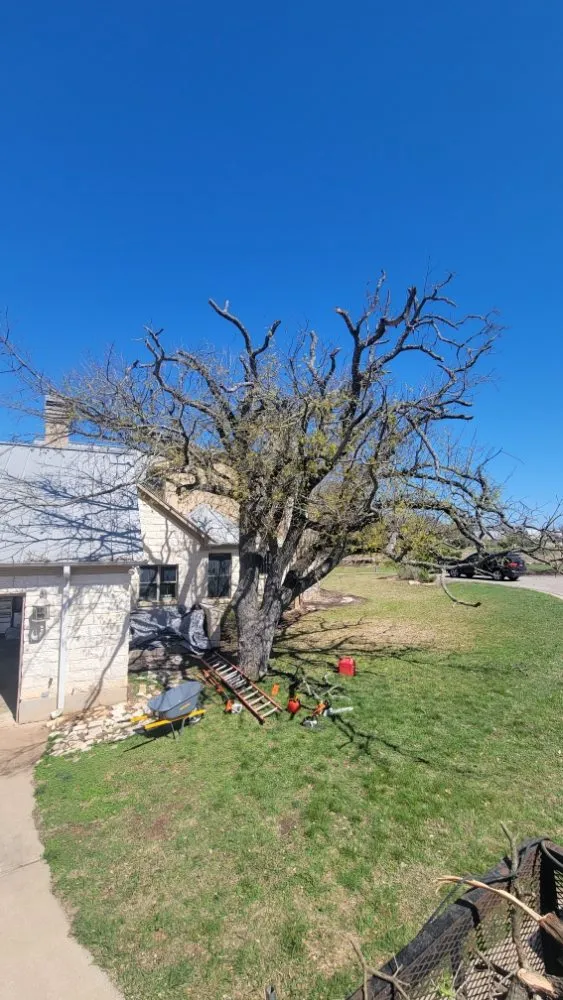 Custom garden landscaping with custom design across Austin, TX - Tigers Tree Services & Landscaping